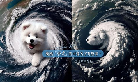 颱風 小犬